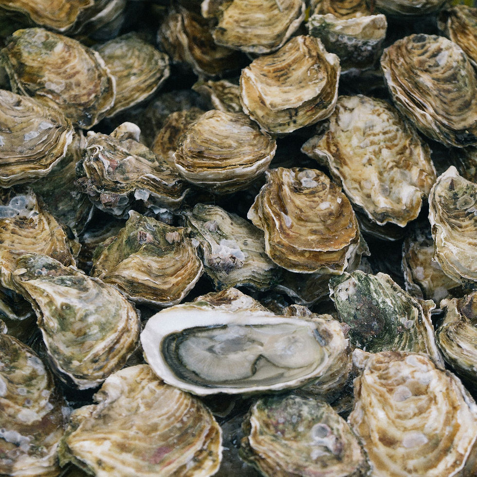 Menú de la Ostra