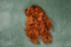 Ginger Perücke