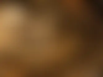 ホームページOPENのお知らせ