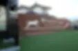 アリアスペットクリニック西湘秦野 ドッグラン