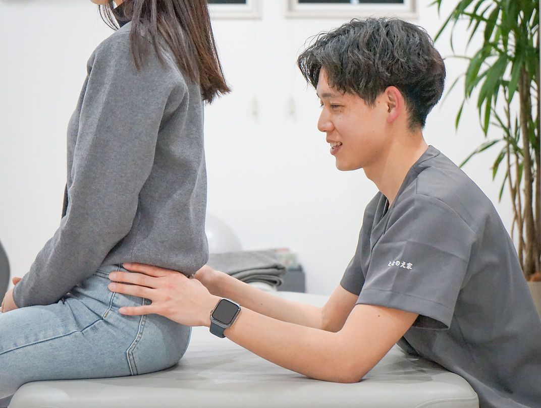 整体をする人
