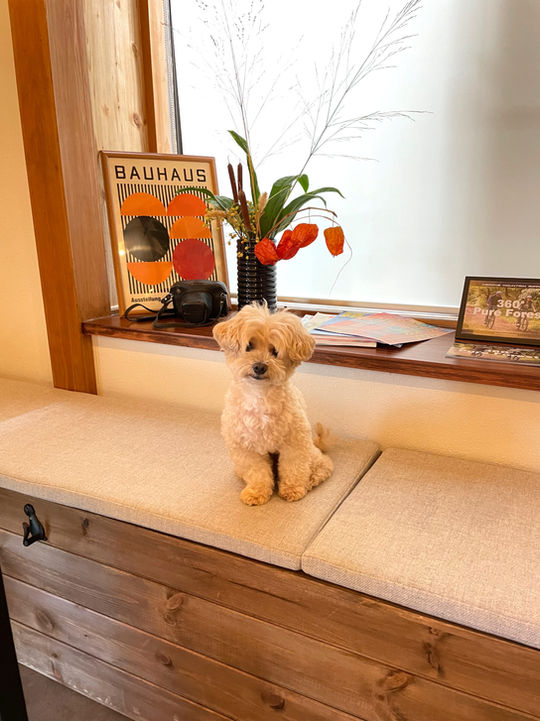 DogHub箱根仙石原のグッズ