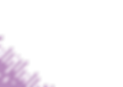 purple_2x_edited.png