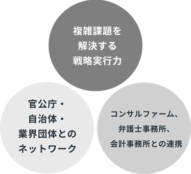 複雑解決を実行する戦略実行力・官公庁や自治体や業界団体とのネットワーク