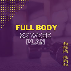 3x Program