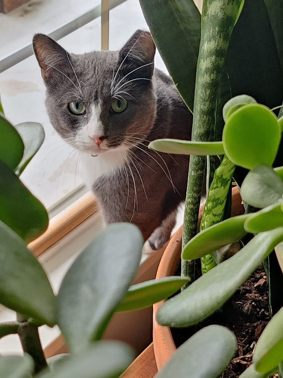 IMG_20250821_182842~2