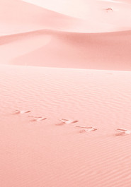 Pink Sand
