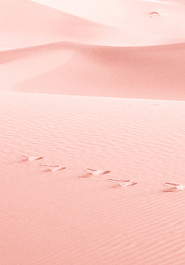 Pink Sand