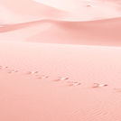 Pink Sand