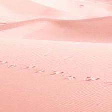 Pink Sand