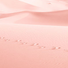 Pink Sand