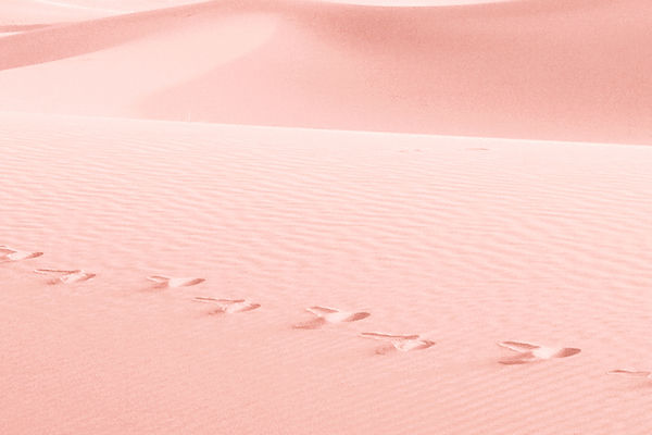 Pink Sand