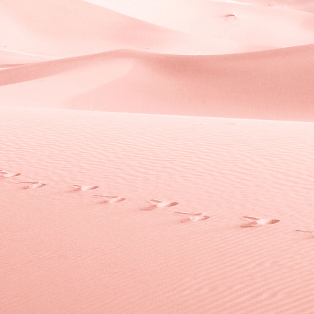 Pink Desert Dunes