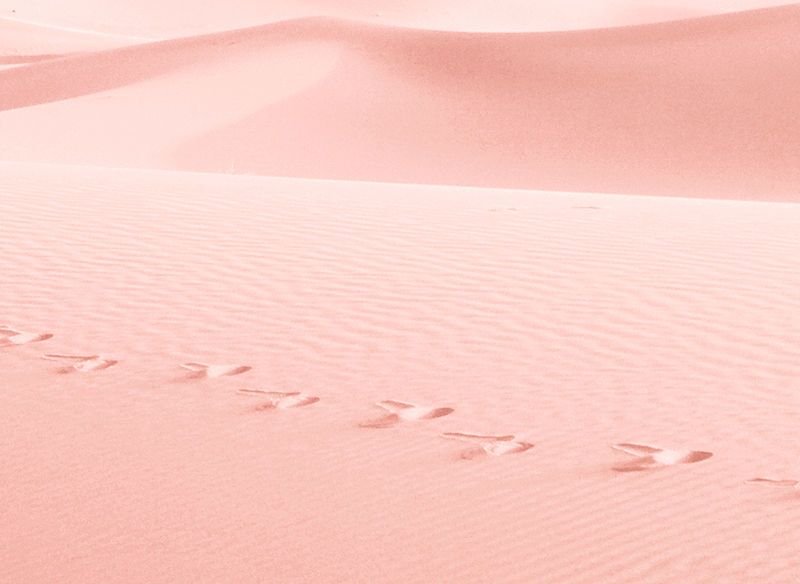 Pink Sand