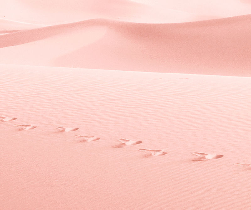 Pink Sand