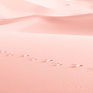 Pink Sand