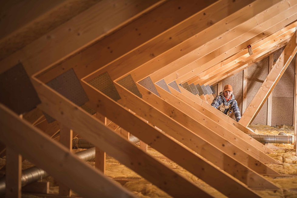 Insulation Contractor.jpg