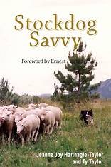 Screen Shot 2022-08-03 at 6.08.13 PM.png