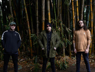 HARBOR THE CODE Announce New Line Up Plus New Single, Phoenix