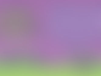 NYE in the Park Reveal Stacked 2019 Line Up