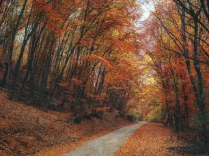 Autumn in Abruzzo 2025: Foliage and Chestnut Festivals on the Slopes of Gran Sasso