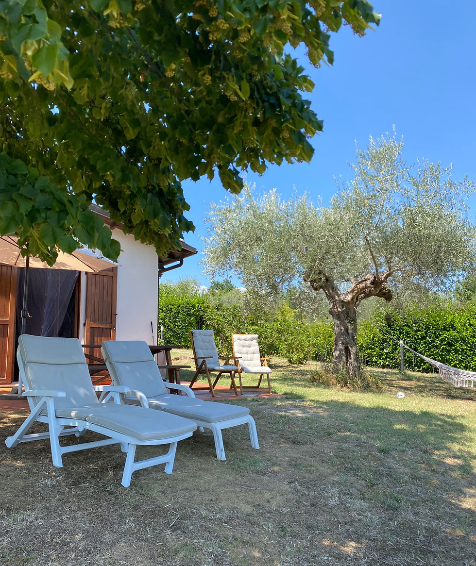 Un momento di relax nel giardino della Casetta di Trignano, tra gli ulivi e con vista panoramica sul Gran Sasso durante l'estate.