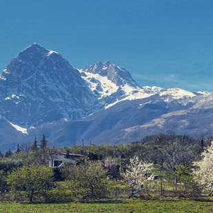 Primavera alla Casetta di Trignano sul Gran Sasso: relax, natura e frutteto in fiore