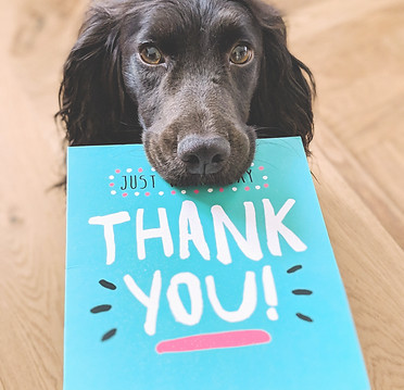 Tilly saying thank you https___www.insta