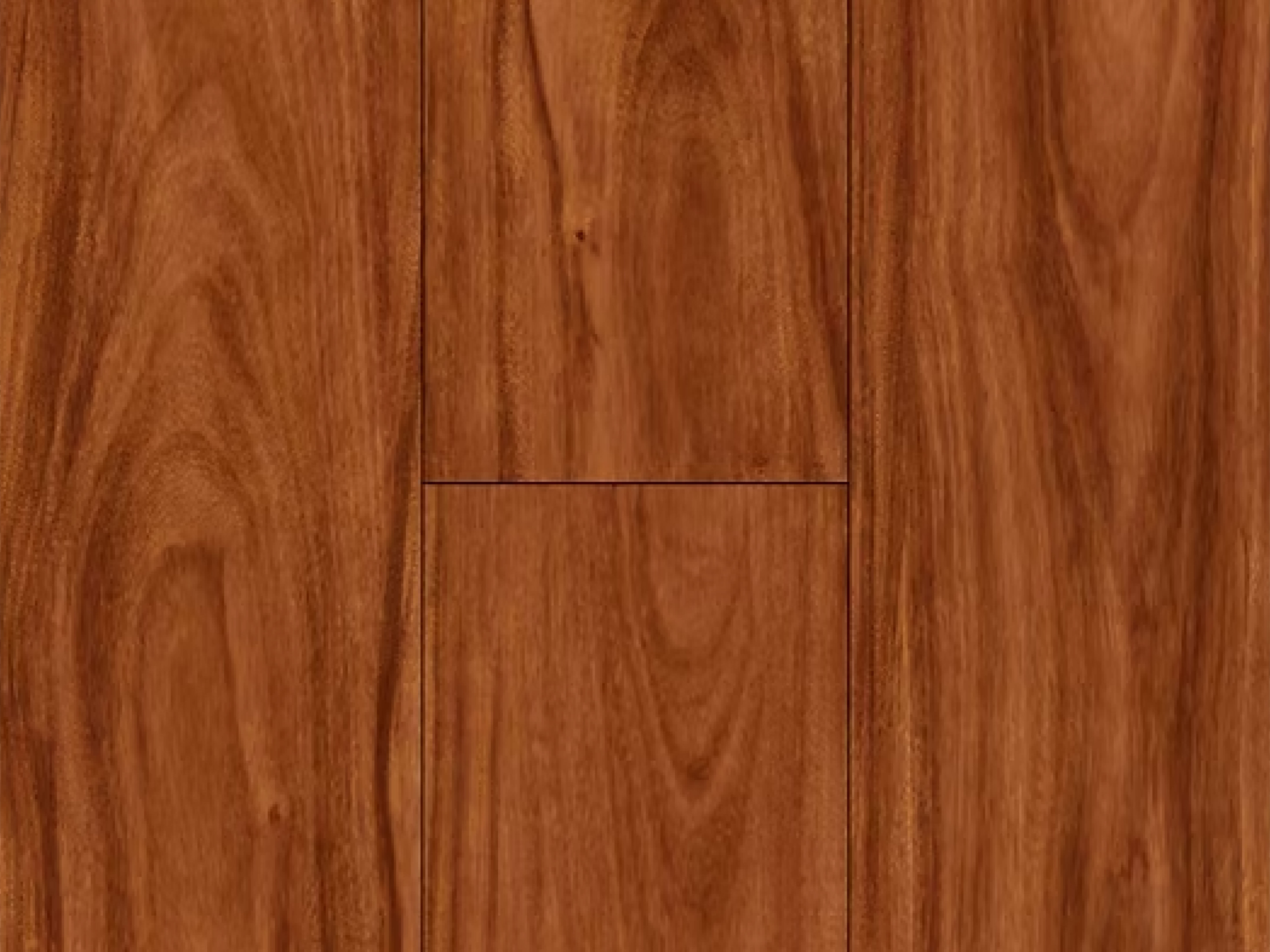 Rio Glen AQ512