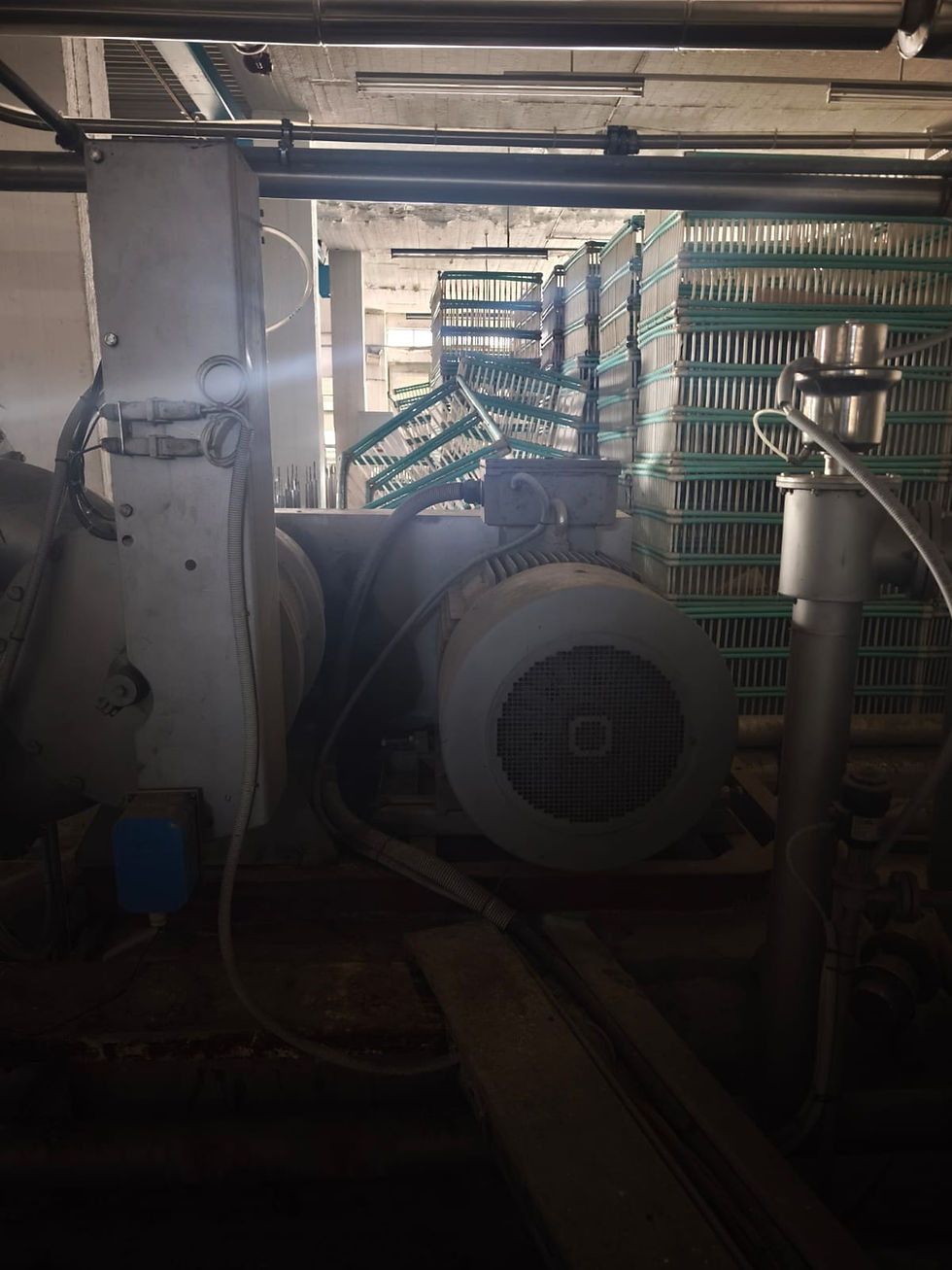 Thumbnail: complete installation of Bellini dyeing machines