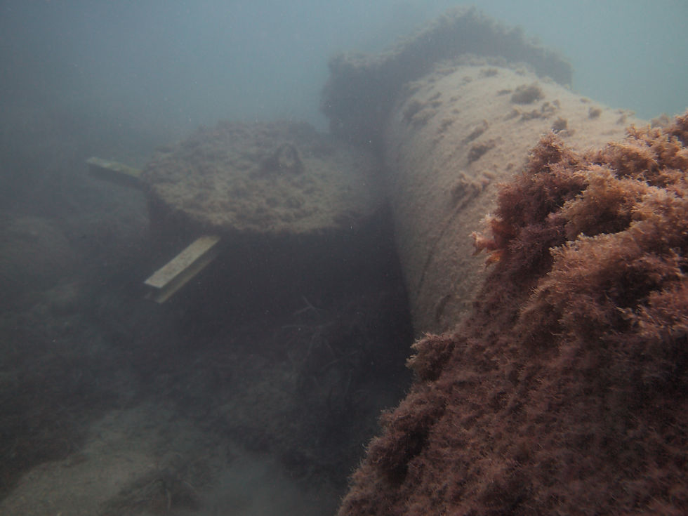PA140395.jpg