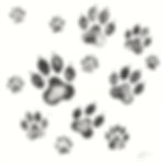 lots of dog paw prints and in ink .jpg
