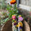 Thumbnail: Supersized floral sage sticks