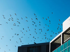 Factors to consider when migrating Dynamics GP to Business Central