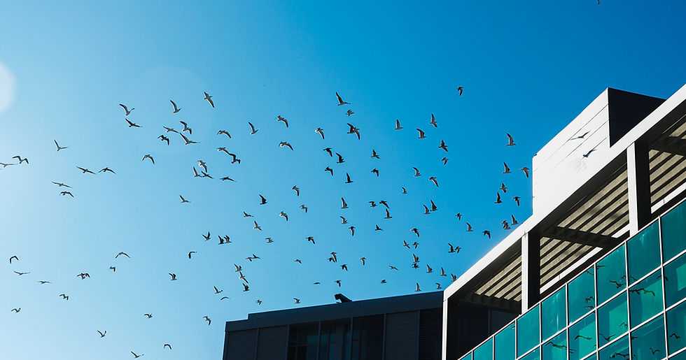 Factors to consider when migrating Dynamics GP to Business Central