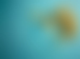 I'm not livin' that Crash Test Dummy life.....