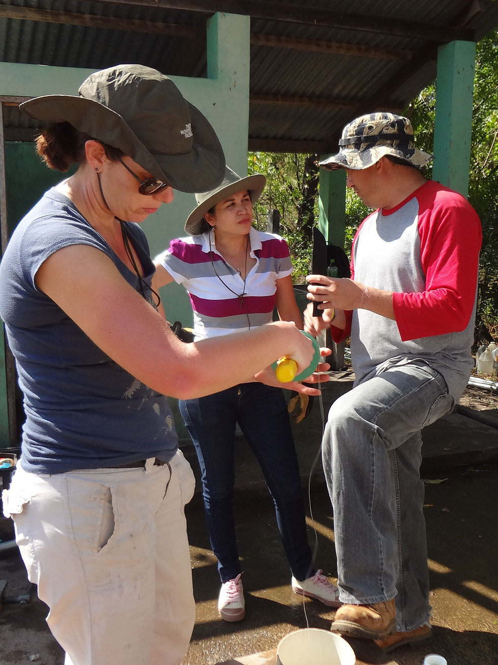 Yaule, Nicaragua