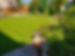 Garden Landscaped by Arborscapes Ltd.jpg