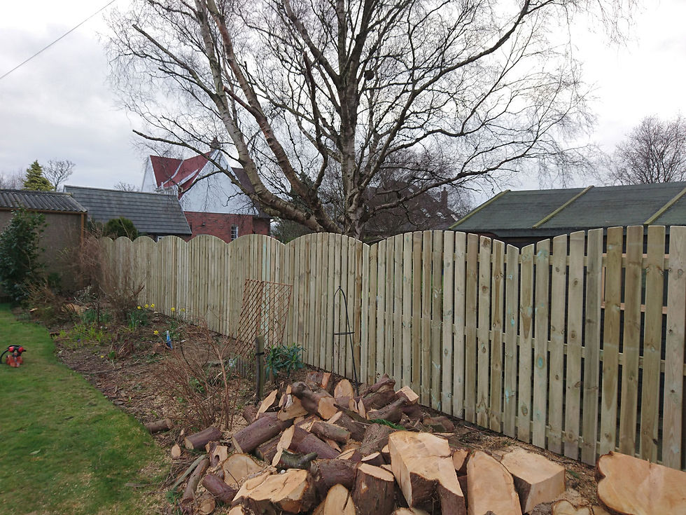 Wooden fence with curved edge by J McCreadie Fencing & Decking