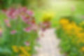 Beautiful summer garden after landscaping.jpg