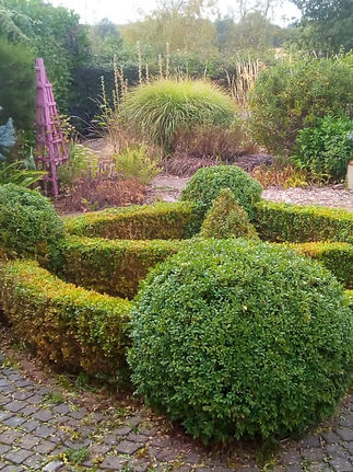 Pretty landscaped garden with bushes