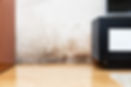 Damp proofing services.jpg