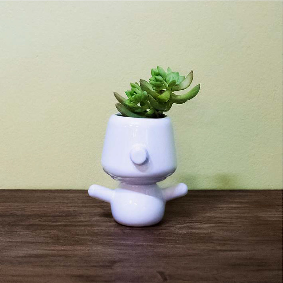 Maceta "Mayo"