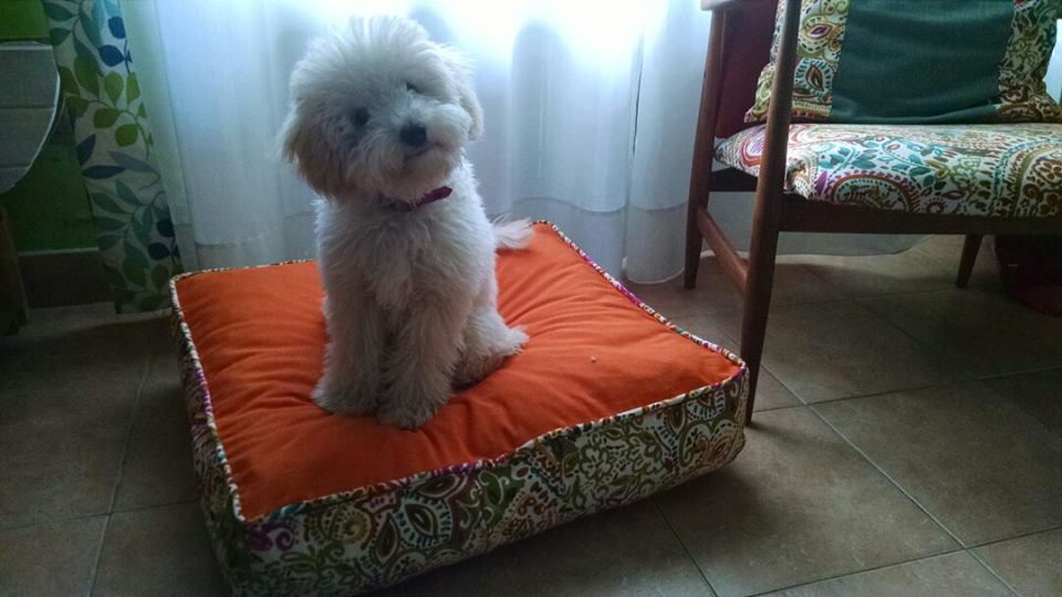 Almohadón "Lula"