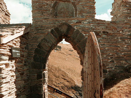 Spring is springing at Ermington Store & More