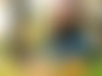 Prevencion tributaria: Preparandose para los auditores de SAT