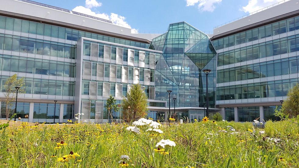 Hildebrand Hall at Berkeley