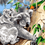 Thumbnail: Australian Koalas and Lorikeet Bird - 4.5/5 Complexity Paint by Numbers