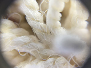 Types of Carpet Fiber