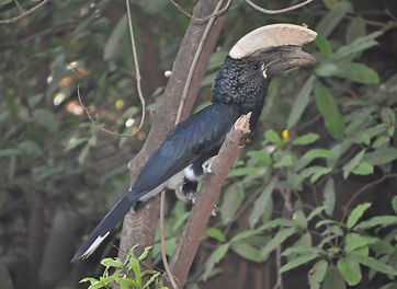 DSC_8605.JPG